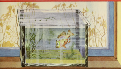 nemfrog:One-fish aquarium.  The Seasons Pass. 1937. 