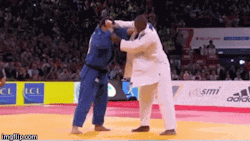 juji-gatame:  Teddy Riner doing a beautiful Uchi-Mata… one of the best ippons of 2013! 