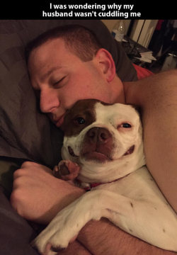 prettyboyshyflizzy:  50shadesofcanteven:  blackcooliequeenreign:  stevenuniversefanclub:The dogs face is like ‘yeah that’s right hoe, he with me now, I’m in YOUR spot, sleeping in YOUR bed, with YOUR man. And there’s nothing you can do about it.’