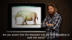 zachinglis:  Mastodon’s Guide to Mastodons