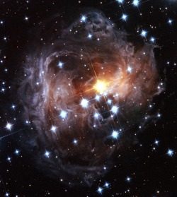 izanzanwin:just—space:Spectacular view of V838 Monocerotis