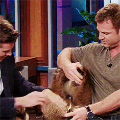 myordinaryside-deactivated20171:  armie hammer playing with a baby grizzly bear on the tonight show (x) 