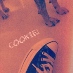 #cookie #me #dog #cute #lol