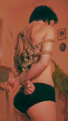 tamanduaknytt:  Digital. Ropes by me