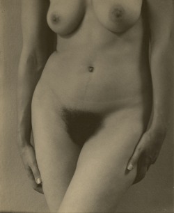 houkgallery:  Alfred Stieglitz (American, 1864-1946)Georgia O’Keeffe: Torso, 1918-1919   Pelo d’Autore n° 3422Un pò di Pelo vintage&hellip;.