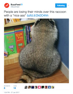 lancerbuck: billysquirrel:  weirdbuzzfeed: happy friday! Rocket Raccoon fandom like…  Raccoon got da booty. 