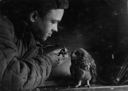 a Soviet soldier feeding an owl / Советский
