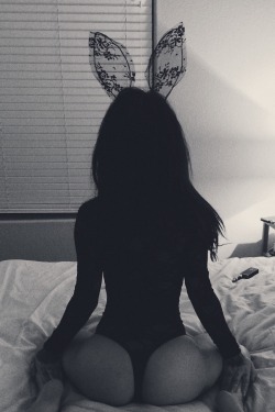 helainetieu:  Hopping around bed &amp; doing other rabbit stuff together.   Instagram - @HelaineRose