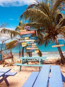 Caribbean beach life