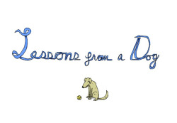 blua:  Illustrated Lessons to Learn from a Dog by Patrick Moberg.