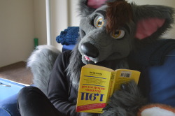 aceofheartsfox:Feeling stressed for the new school semester? :3 Take the time to read a book! Or at least pretend to read one. That’s just as productive, right? X3