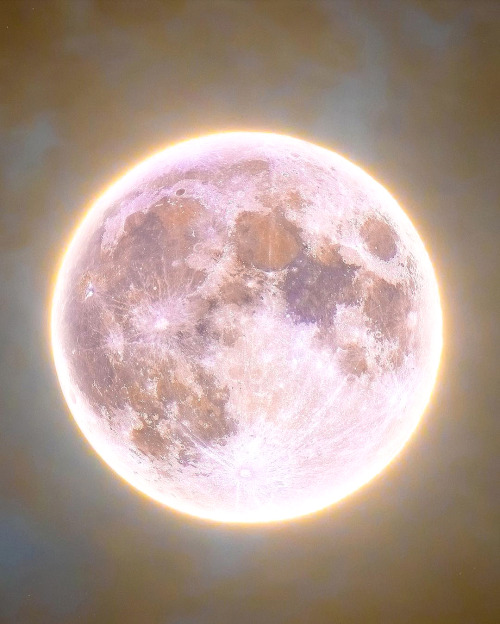 without-ado:  Full Pink Moon in Scorpio by Rami Ammoun (Apr. 2021)