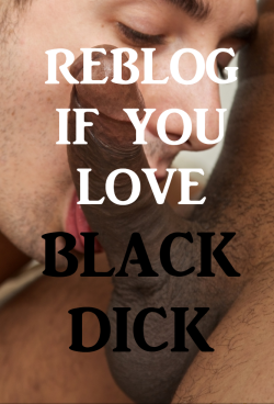 obeys2str8:  BIG BLACK DICK 