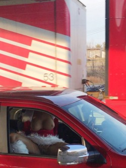 thegreatgooglymoogly:  voyeurmeetsexhibitionest: danimariner: Wishing our hard working Truckers a Merry Christmas 🎄  What a fun idea.   For More Visit The Great Googly Moogly’s ArchivesSubmit Your Pictures of Scantily Clad or Naked Girls in, on or