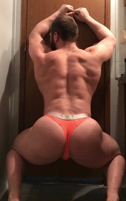 beefybutts:  beefybutts:  Fuuuuck   Squat on my face 