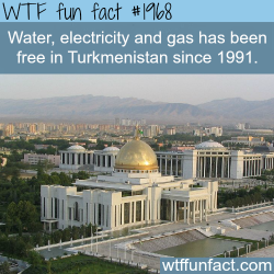 wtf-fun-factss:  Water and Electricity and gas are free in Turkmenistan - WTF fun facts
