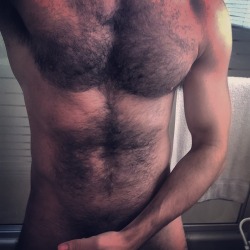 cat5huntr:  #fitness #gay #hairy #hairychest #muscle 