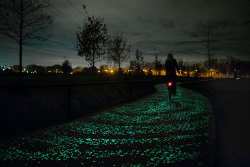 summerann12:  wordsnquotes:culturenlifestyle: Van Gogh Path by Daan RoosegaardeVan Gogh-Roosegaarde bicycle path is made ofthousands glowing stones inspired by ‘Starry Night’. The path charges at daytime and glows at night. Here innovation and cultural