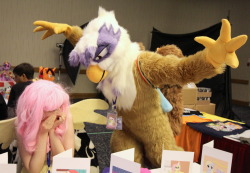 sydney-roo:  What are you gonna do about it, Fluttercry?!  Yeesh, so many lame ponies! What’s a cool griffon supposed to do?   LEAVE FLUTTERS ALONE!! :G . I like this Gilda suit &lt;3