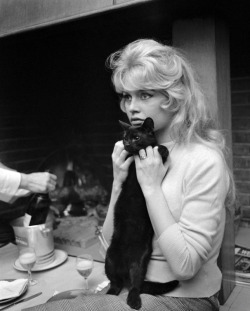 Missbrigittebardot:  Brigitte Bardot - 1950S