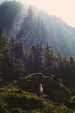 expressions-of-nature:  Morning View by vane