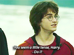 fang107:  ally0mazing:  Harry potter and the sorceror’s sass The chamber of sassiness The prisoner of sasskaban The goblet of sass The sass blood prince The sassy hallows The sassiest boy who lived…..   Blinded by the Sass!