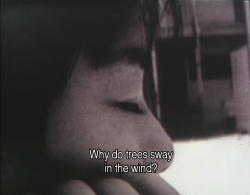 lostinpersona: Embracing, Naomi Kawase (1992) 
