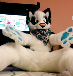 quietheavenslice:  You need some snugs! C'mere  Character is mine  Fursuit made by donthugcacti  Cuuuuute~! &lt;3