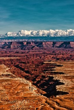 “Canyonlands”Island in the Sky
