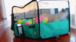 funnyandhilarious:  Just A Pug In A Ball Pit Don’t forget to share us to your friends