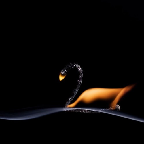 taktophoto:  Burning Matches Art by Stanislav Aristov
