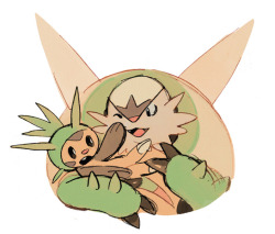 sissymandias:  pokeddex challenge day 26: favorite starter i loved chespin the moment i saw him ;-; also sorry quilladin for ever doubting you would evolve into something cool 