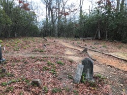 stumbled upon a 17th century graveyard while hiking