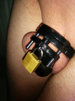freakycleanxxx:  May 27th before work chastity and Tantus Tex plug.