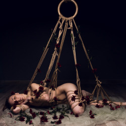 brookelynne:  Brooke Lynne | FotoArcade entire photoset available for ŭ patrons on patreon  http://patreon.com/brookelynne   Brooke Lynne is creating artistic nude photography  | Patreon