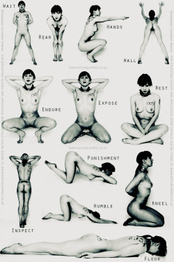 raceplayharmony:  newrabbithole:  nosejob1: 7thday7thson:  tasksforsubsandslaves:  Submissive Position Submission  Get shots of you or your sub in any of the above positions and submit.  Love these. I accept that challenge.   @newrabbithole Something