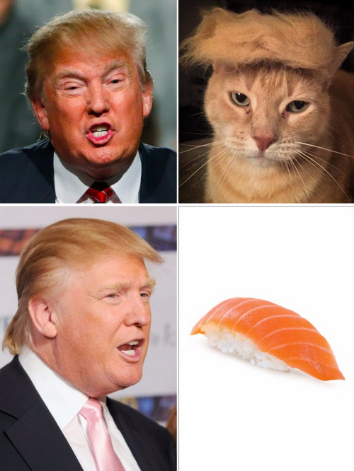 tastefullyoffensive:  Things Donald Trump Looks Like (photos via eatliver)Related: Mattresses That Look LIke Celebrities