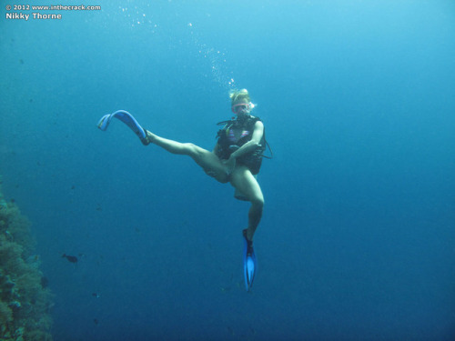Porn Pics constant-priapism:  Nikky Thorne naked diver