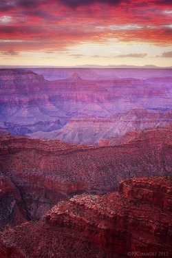 melaniea:  radivs:  &lsquo;Canyon of the West&rsquo; by Peter J Coskun via pjcphotography.com  I keep having dreams about the Grand Canyon. I don’t know what it means. 