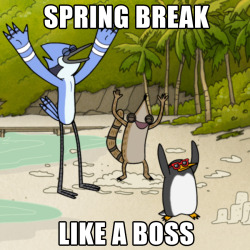 No matter where you Spring Break, do it like a boss. #springbreak #Mordecai #Rigby #RegularShow #LikeABoss