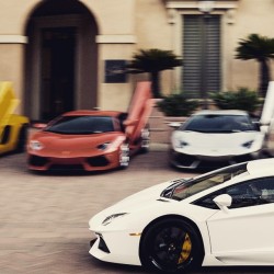 Lined up aventadors of all colours how perfect #like if you wish to own this fleet 
