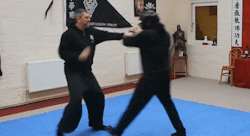 guts-and-uppercuts:  Hung Gar/Hung Kuen application - These applications are taken directly from a number of Hung Gar forms. No boxing thrown in, no modern twist on an old style; this is traditional kung fu done correctly.And no, I’m not saying it would