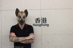 Hong Kong Pup! Love this vibrant city!You can learn more about human pup play at:http://SiriusPup.net http://TheHappyPup.com http://PupSafeProject.org 