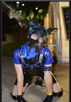 pup-kato:  scoutpupp:  Check me out :3 being a rubber pup and all :3   Wroof wroof! 
