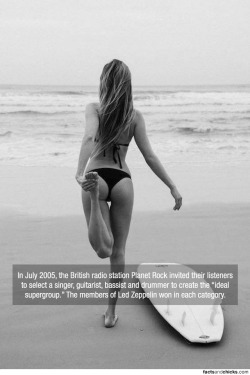 factsandchicks:  In July 2005, the British radio station Planet Rock invited their listeners to select a singer, guitarist, bassist and drummer to create the â€œideal supergroup.â€ The members of Led Zeppelin won in each category. source