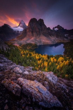 Woodendreams:  Mount Assiniboine, Great Divide, Alberta, Canada By Alister Benn
