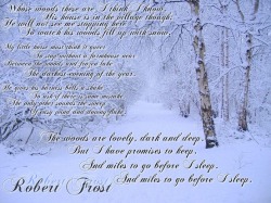 A favourite of mine (“Stopping by Woods on a Snowy Evening” by Robert Frost, 1922)