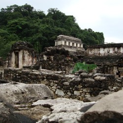 bienbonito:  #ruinas #palenque #sinfiltro