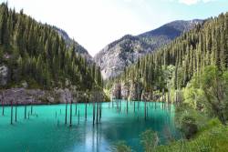 10knotes:  odditiesoflife: The Amazing Underwater Forest of Lake Kaindy What makes Lake Kaindy truly remarkable is that it contains an underwater forest. Visible on the lakes surface are the tall, dried-out tops of submerged Spruce trees that rise above