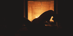 thesetemptationsofours:  Making love by the fireplace